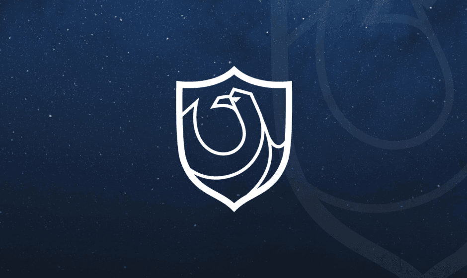 Ravenclaw in the Harry Potter HBO Series